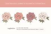 Blush Floral Vector Illustrations, a Decorative Illustration by Emma Webb Studio (Thumbnail 5 of 12)