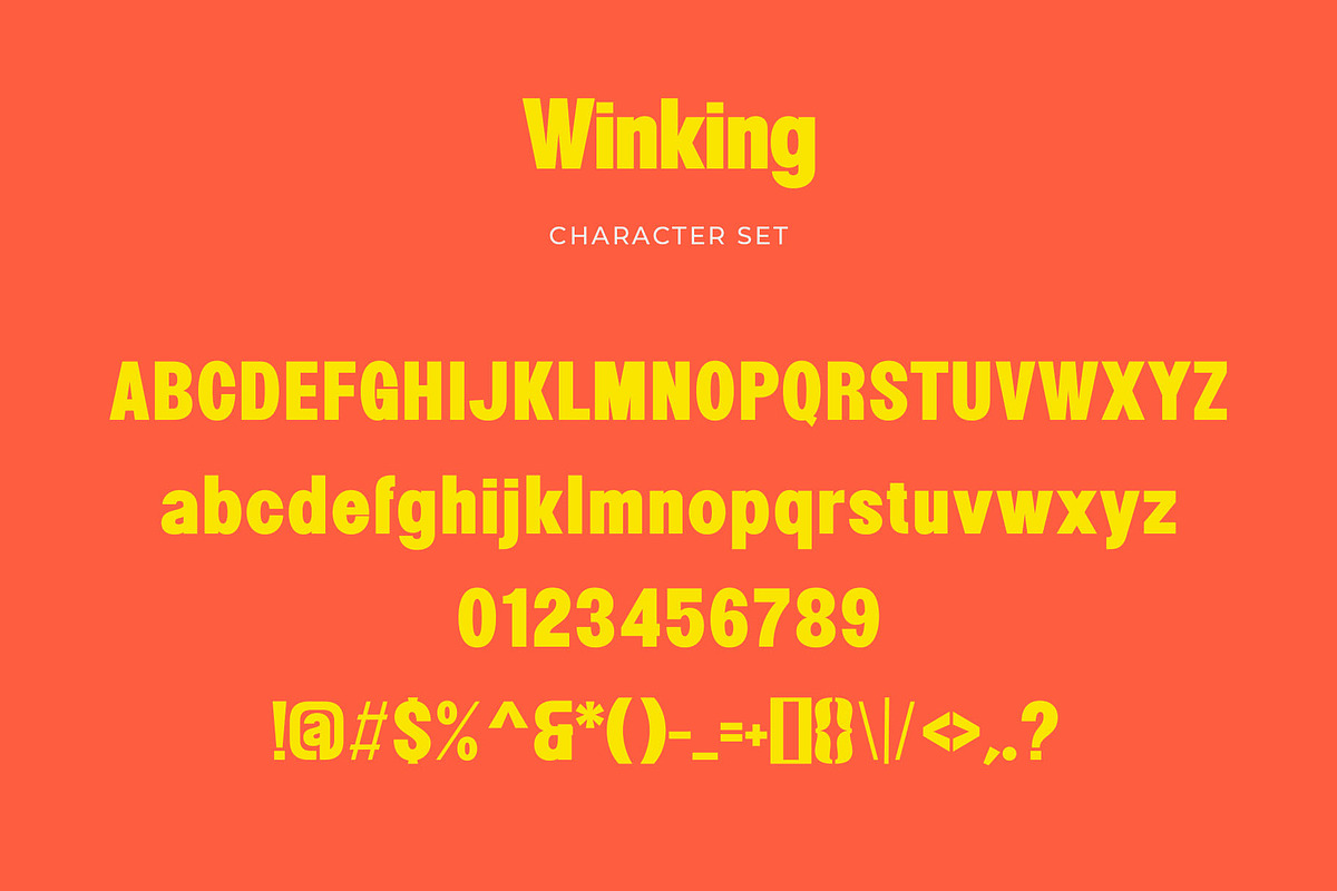 Winking - Modern Sans Serif, a Sans Serif Font by TypeLogue (Photo 5 of 5)