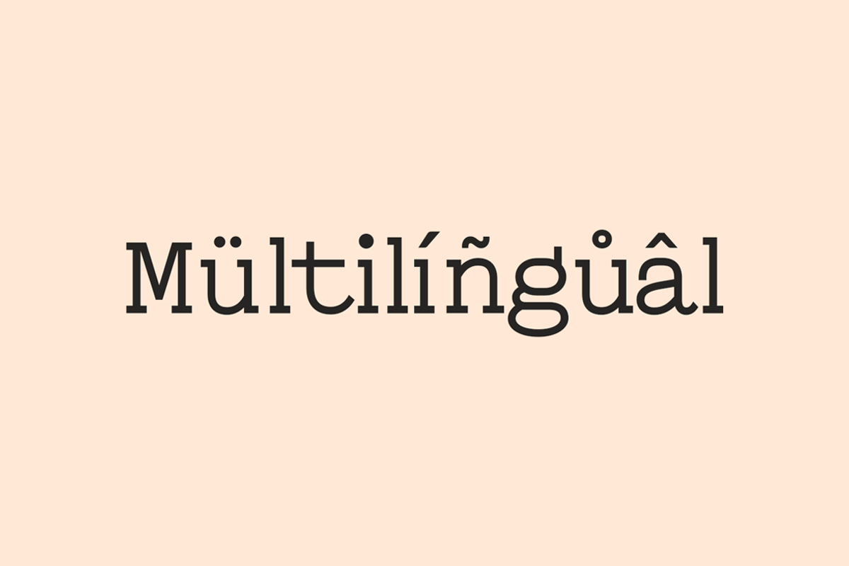 Leipzer - The Simple Serif Typeface, a Serif Font by Designova® (Photo 7 of 9)