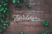 Abhyaksa Handwritten Font, a Script Font by Inspiratype (Thumbnail 5 of 11)