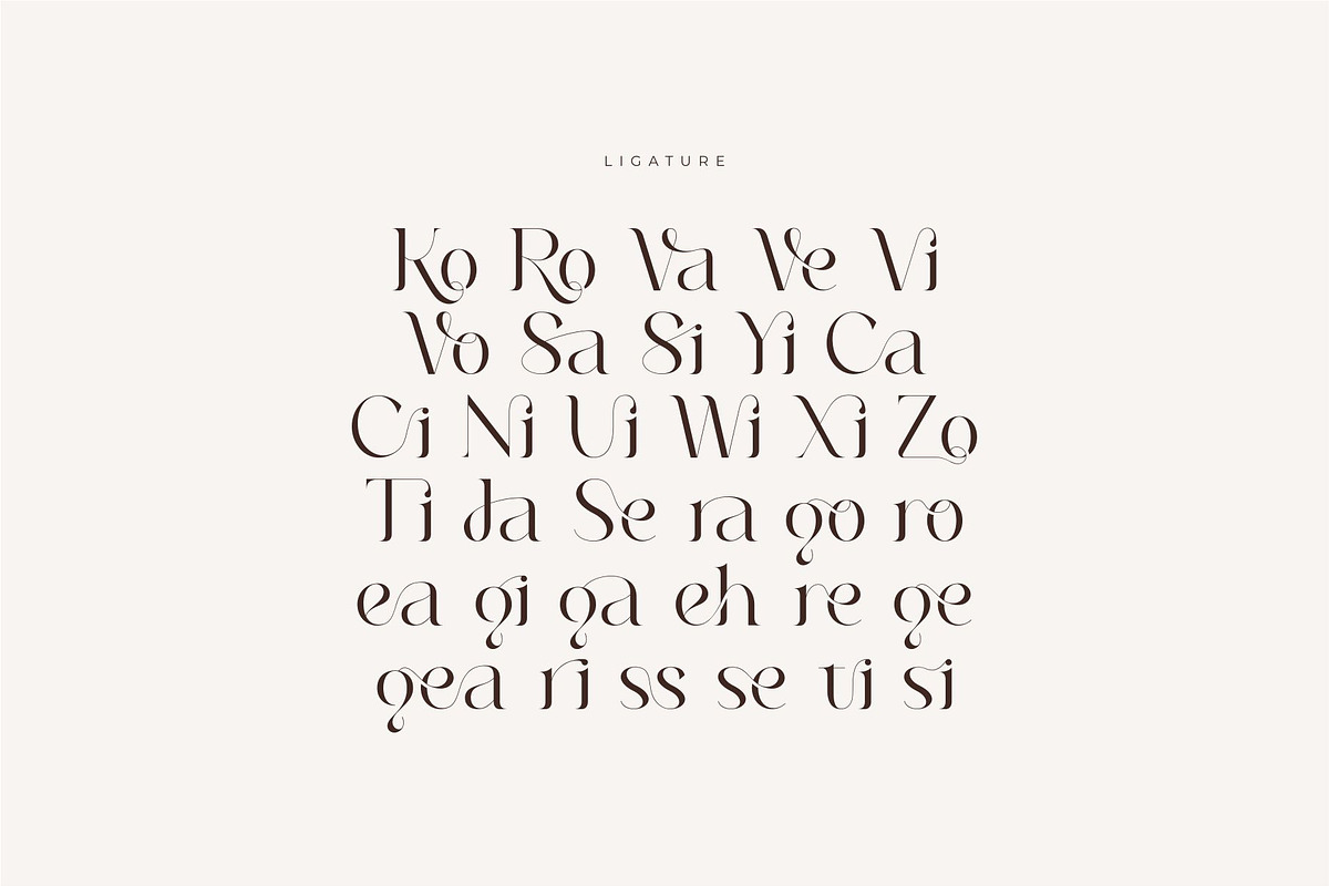 Roilra - Serif Ligature Font, a Serif Font by suhadidesign (Photo 11 of 13)