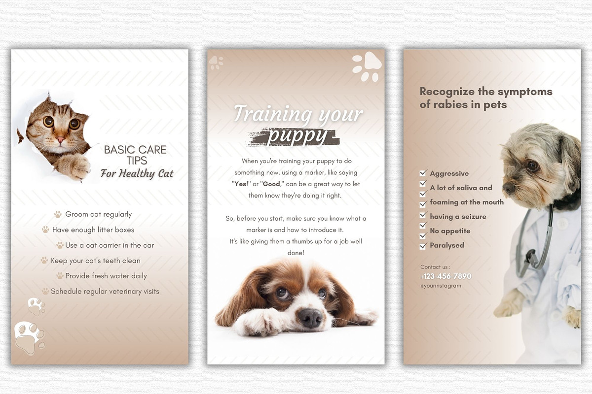Pet Shop Social Media Templates, a Social Media Template by Talipic Designs (Photo 5 of 8)