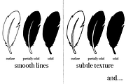 35 Vector Hand Drawn Feathers, a Texture Illustration by Foxtail Pine Studio (Thumbnail 2 of 3)