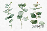 Eucalyptus collection, a Decorative Illustration by Colibri Watercolor (Thumbnail 3 of 5)