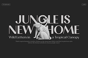 TA Solivare Variable, a Sans Serif Font by TAFT Foundry (Thumbnail 7 of 15)