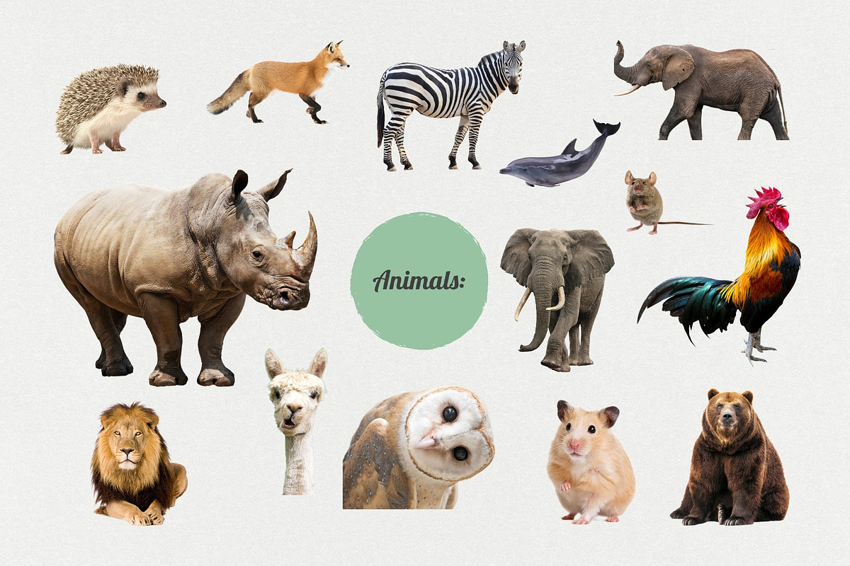 The Maximalist Collage Creator, an Object Graphic by Digi Life (Photo 13 of 27)