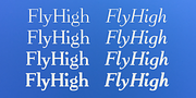 FlyHigh, a Slab Serif Font by Ingrimayne Type (Thumbnail 2 of 10)