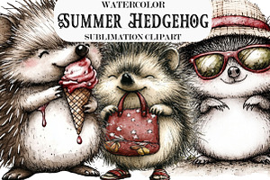 Whimsical Summer Hedgehog Clipart, an Illustration by Designking