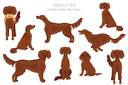 Irish Red Setter clipart, an Animal Illustration by pet design shop (Thumbnail 5 of 8)