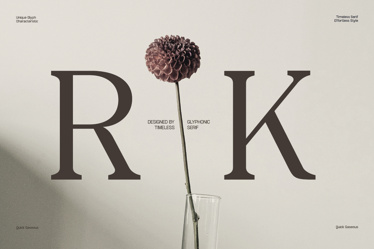 GC Quick Gaseous – Elegant Serif, a Serif Font by Glyphonic (Photo 8 of 15)