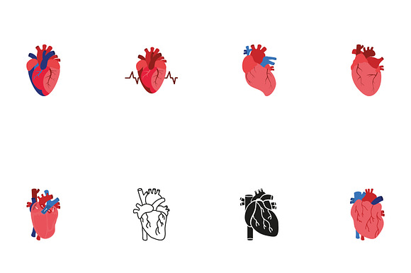 Anatomical Heart Illustration Set preview 2