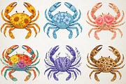 Watercolor Floral Crabs PNG Clipart, an Animal Illustration by RobertsArt (Thumbnail 4 of 6)