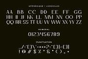 Mekchon - Aesthetic Serif Font, a Serif Font by Iqsiart Studio (Thumbnail 6 of 8)