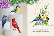 Garden Birds Watercolor Painted Set, an Animal Illustration by AnitaPol (Thumbnail 3 of 21)