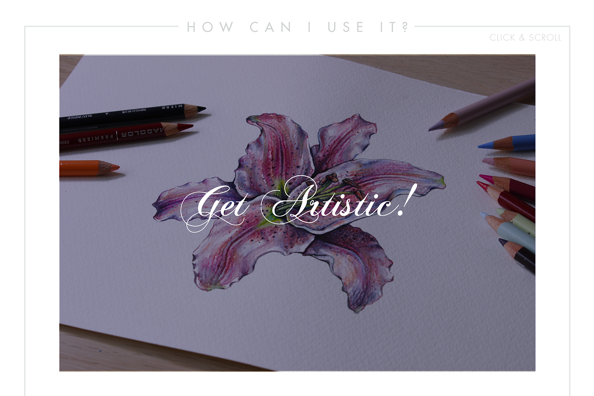 Line Floral Illustrations & Patterns, an Illustration by Riveros Illustration (Photo 7 of 11)