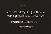 Melange | Retro Serif Font, a Serif Font by Calamar Studio (Thumbnail 14 of 18)