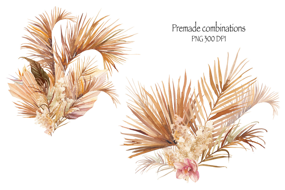DESERT PLANTS, an Illustration by Eisfrei (Photo 3 of 10)
