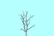 Beautiful Low Poly Tree 02, a Scene 3D Model by Tedi Permana (Thumbnail 4 of 4)