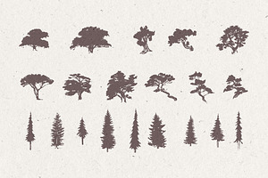 Silhouettes Of Pine And Fir Trees