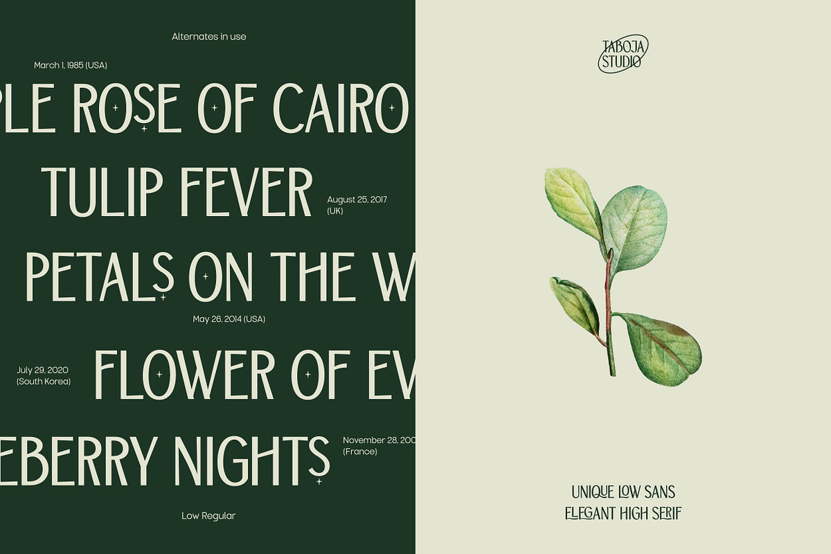 TBJ Orcherum Unique Ligatures Sans, a Font by Taboja Studio (Photo 4 of 21)