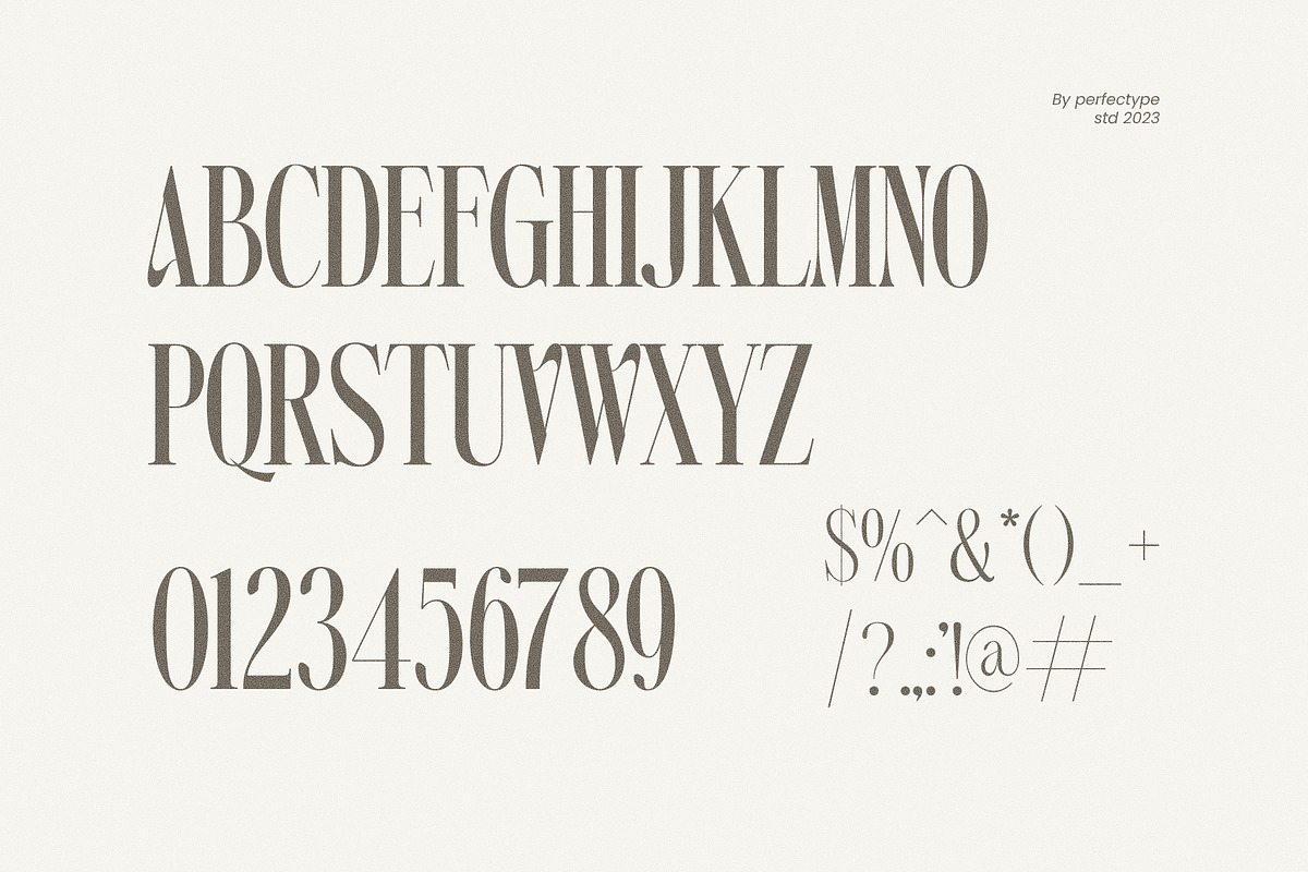Akova Elegant Serif Font Typeface, a Serif Font by Perfectype (Photo 7 of 7)