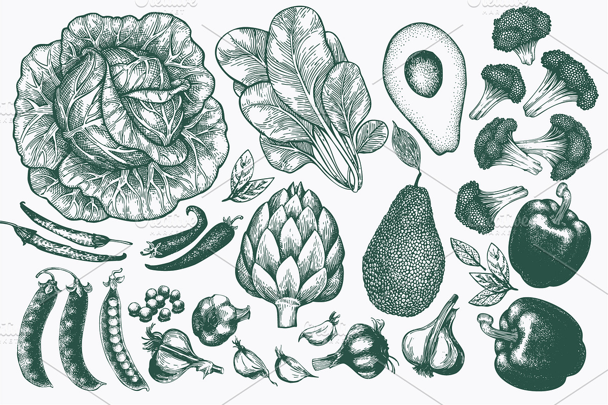 Vegetable Vector Collection, a Food Illustration by Lubov Illustrations Shop (Photo 2 of 6)