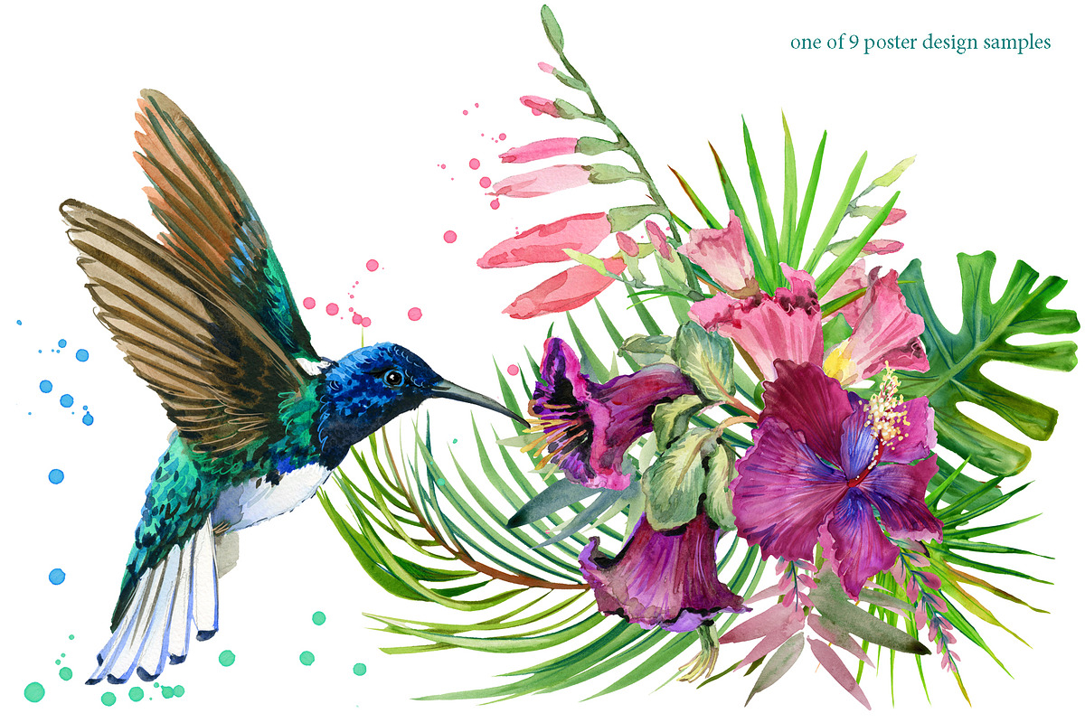 Watercolor Tropical plant & Bird, an Object Graphic by FineArt (Photo 5 of 22)