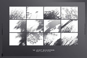 Leaf Shadows, a Templates & Theme by TANOSHII DESIGN (Thumbnail 2 of 10)
