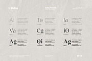 Diella, a Serif Font by Ardyanatypes (Thumbnail 5 of 12)