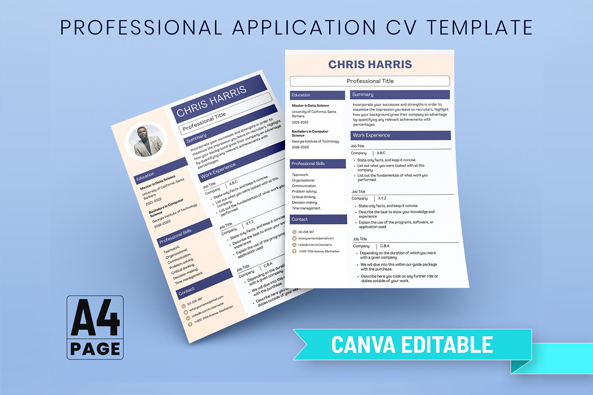 Professional Application CV Template, a Print Template by Snapybiz (Photo 1 of 10)