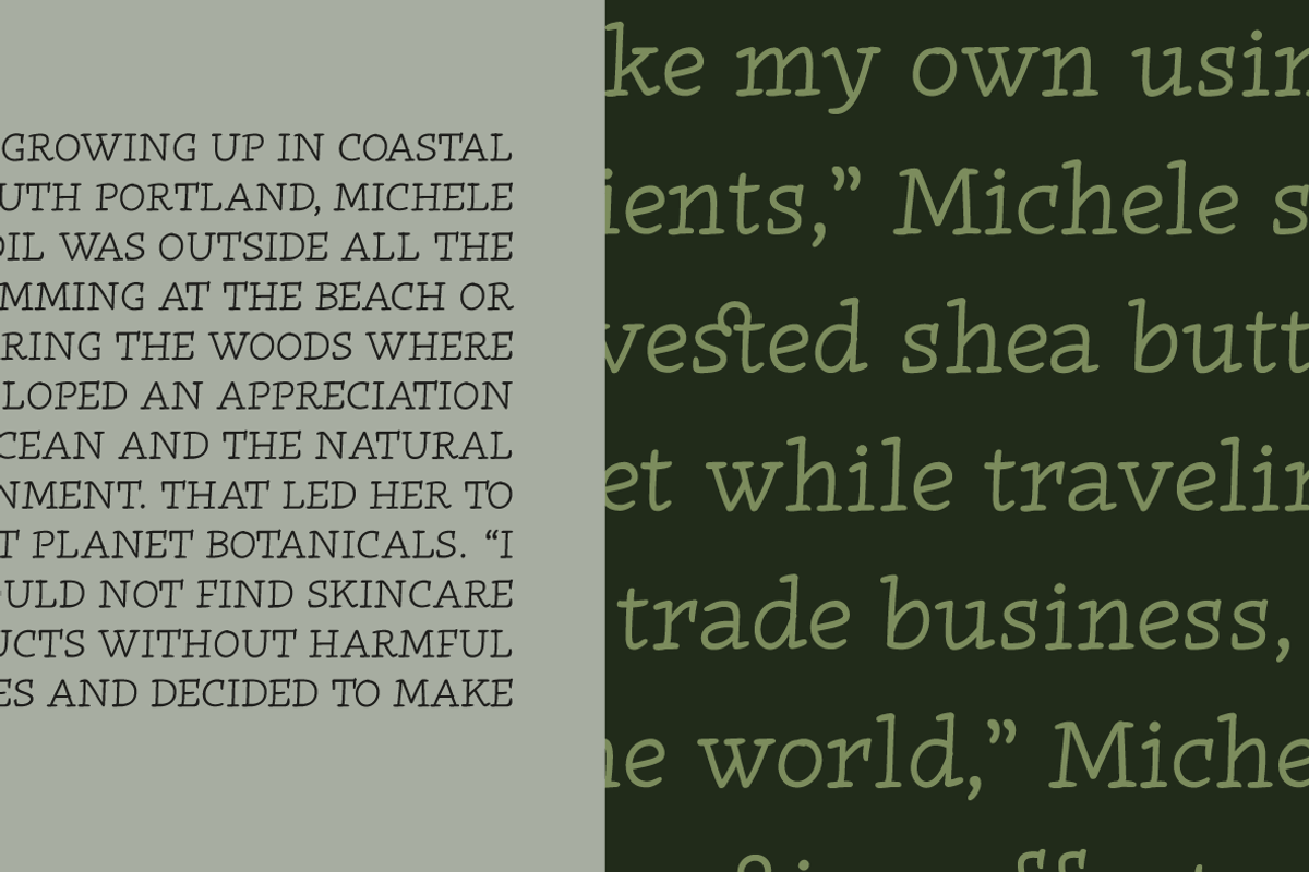 Radcliffe Hand - 7 fonts, a Serif Font by Zetafonts (Photo 13 of 14)