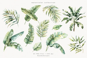 Watercolor Tropical Plants