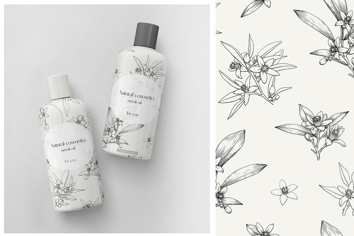 Flowers Neroli. Vector Botanical set, an Object Graphic by ON_lineart_store (Photo 8 of 10)