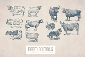 55 Vintage Farm Animals