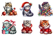 Christmas Scottish Cat Clipart PNG, an Illustration by SinaCreation (Thumbnail 4 of 7)