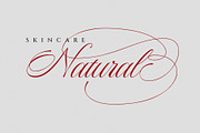 Rastrina Calligraphy Script Font, a Script Font by RantautypeStudio (Thumbnail 7 of 16)