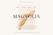 The Paloma - Modern Serif Font, a Serif Font by TypeFounder (Thumbnail 2 of 10)
