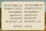 Kastleria - Luxury Serif, a Font by Dora Typefoundry (Thumbnail 8 of 10)