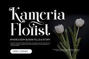 Qid Bronste Elegant Serif, a Serif Font by Perfectype (Thumbnail 4 of 9)