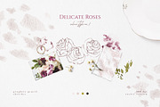 Delicate Roses - Hand Drawn Clipart, a Texture Illustration by Aquarellina (Thumbnail 7 of 15)