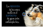 TEHZETA font (commercial use), a Font by Melissa Thereliz (Thumbnail 2 of 3)