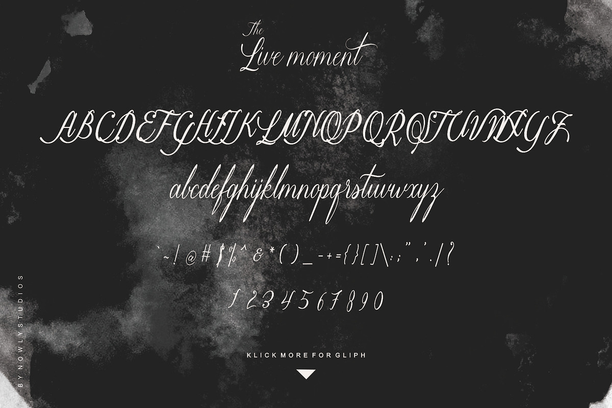 The Live Moment preview 8