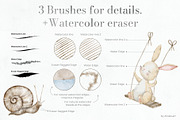 Watercolor Brushes for Procreate, a Brush Add-On by Alisles (Thumbnail 3 of 12)