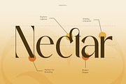Annyra - Modern Luxury Sans Font, a Sans Serif Font by Flawless And Co (Thumbnail 4 of 10)