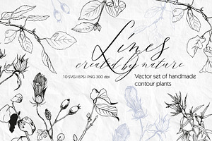 Set of linear plants vector and svg