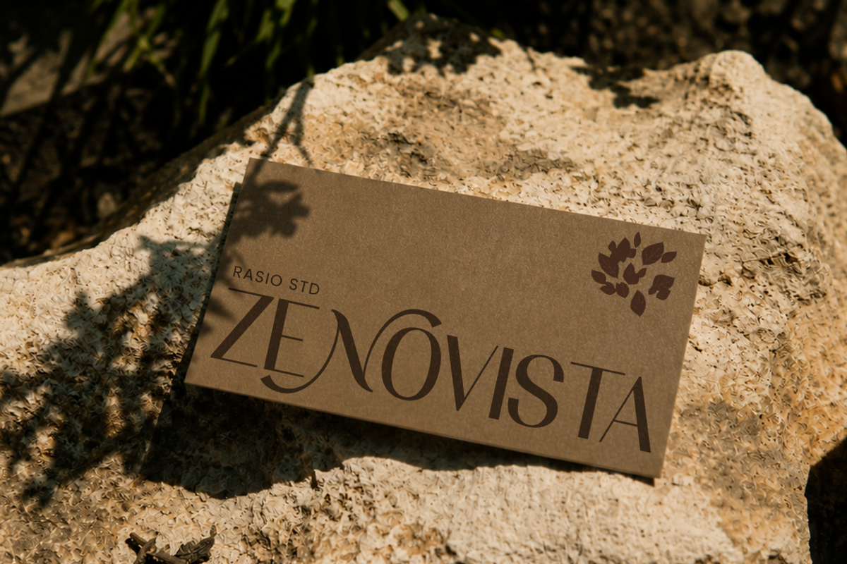 Vermica Modern Elegant Sans Font, a Sans Serif Font by Rasio Studio (Photo 11 of 11)