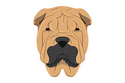 30x Dog breeds Set 2, an Animal Illustration by asantosg (Thumbnail 7 of 7)