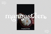 Padar Island - Display Serif Font, a Serif Font by erlosDESIGN (Thumbnail 9 of 19)