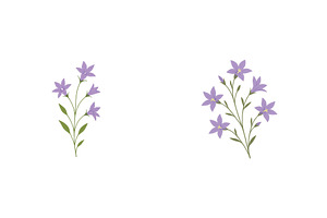 Purple bell flowers blooming in a, a Nature Photo by ZinetroN