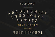 Gold Coast - Vintage Serif + Extras, a Serif Font by Craft Supply Co. (Thumbnail 9 of 10)